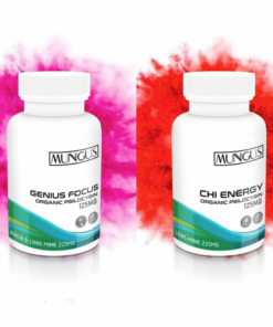 Buy Mushrooms Canada Buy Genius Focus & Energy Microdose Stack Online