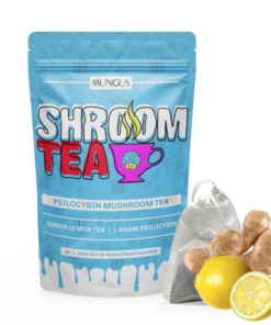 Buy Mushrooms Canada Buy Ginger Lemon Shroom Tea 1 GRAM Online