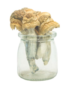 Buy Mushrooms Canada Buy Monster Mack Magic Mushrooms Onine