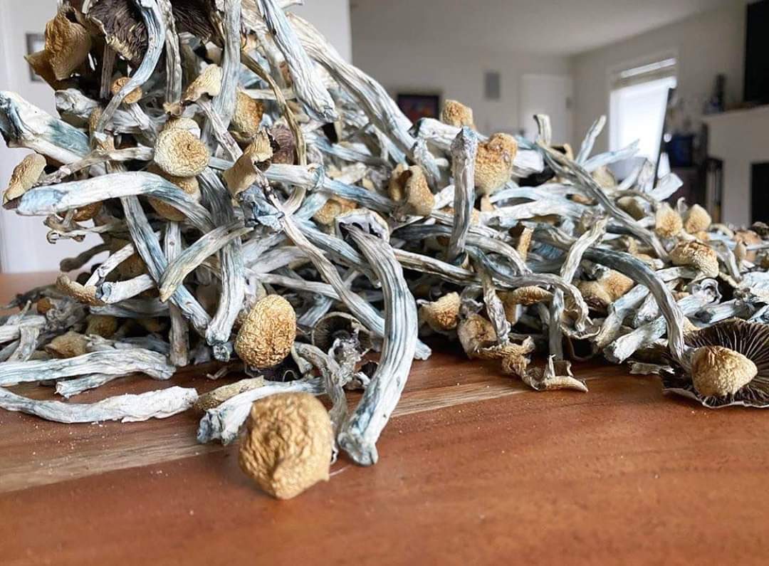 buy mushroom in Canada online